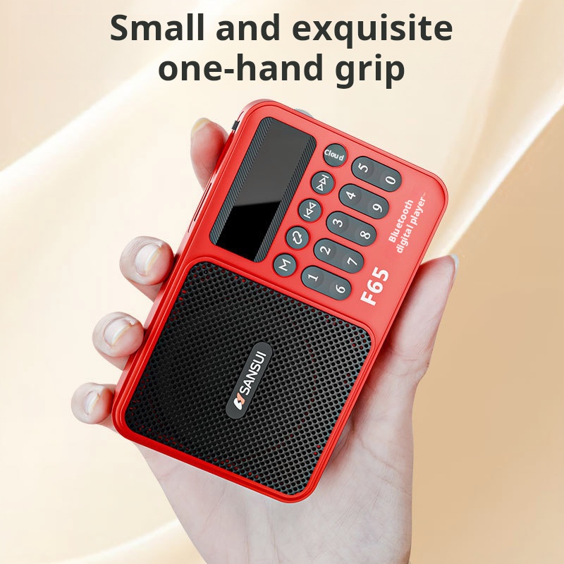 Shanshui F65 Draagbare FM-radi - Metronome Digital recensie en prijs